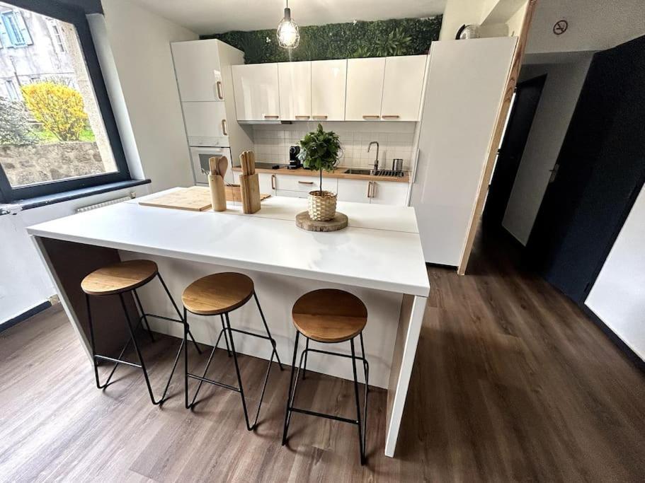 Le Puy En Velay - Appartement Grand Confort Kültér fotó