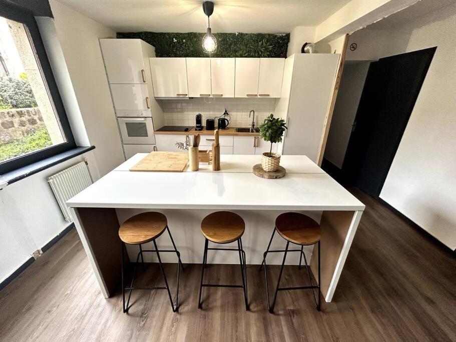 Le Puy En Velay - Appartement Grand Confort Kültér fotó