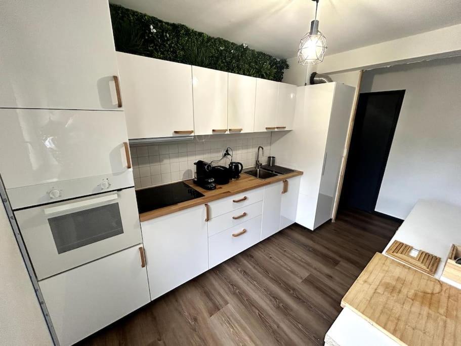 Le Puy En Velay - Appartement Grand Confort Kültér fotó