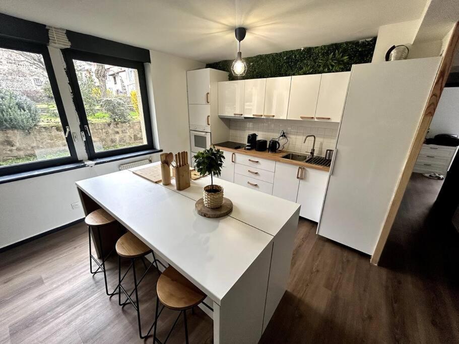Le Puy En Velay - Appartement Grand Confort Kültér fotó