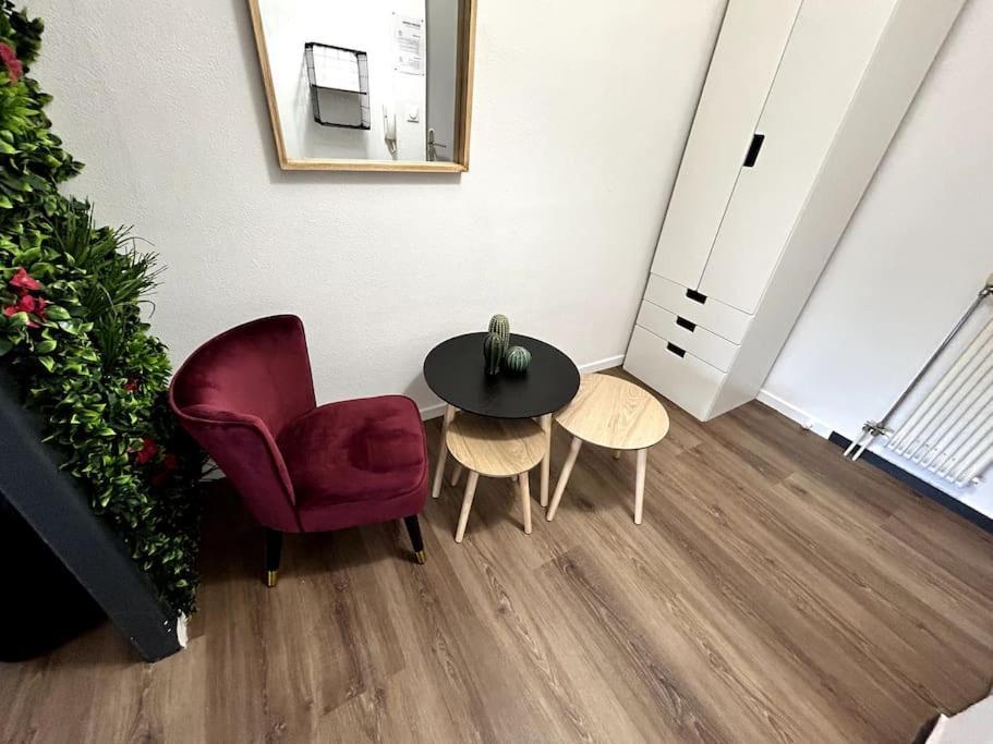 Le Puy En Velay - Appartement Grand Confort Kültér fotó